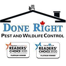 Done Right Pest and Wildlife Control