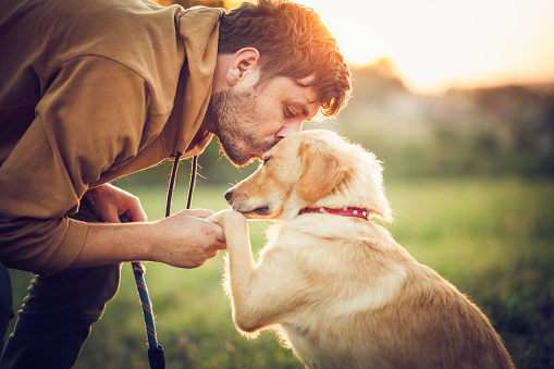 Dog House Training Academy
