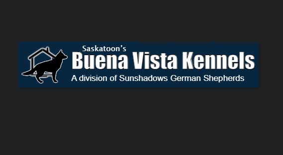 Buena Vista Kennels