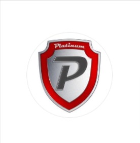 Platinum Auto Group