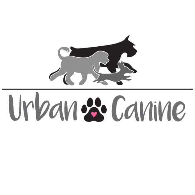 Urban Canine Ottawa