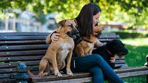 Spoiled Rotten Pet Services Inc