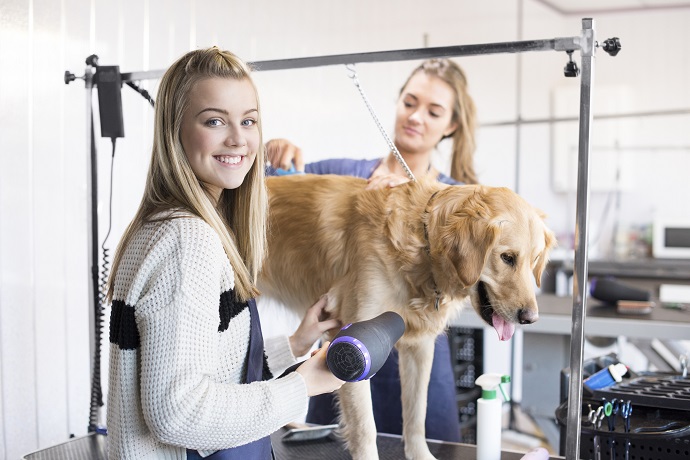 BYOD dog wash