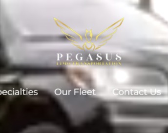 Pegasus Limo Transportation