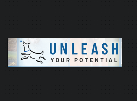 All Dogs Unleashed