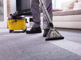 Mima Organic Carpet Cleaning Services