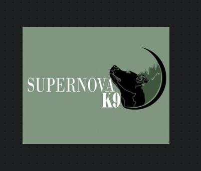 Supernovak9