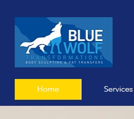 Blue Wolf Transformations