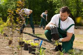 Home Keepers Property Maintenance