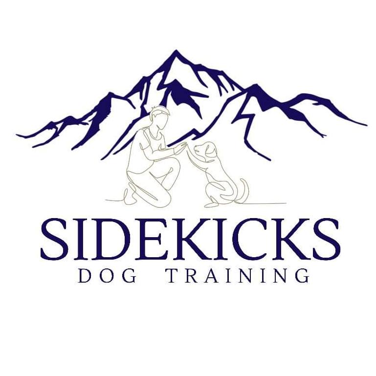 Sidekicks Dog Training