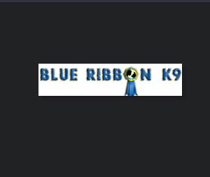 Blue Ribbon K9 Dog Training Center