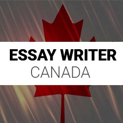 Essay Writer