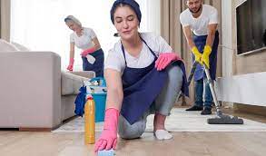 You Have It Maid