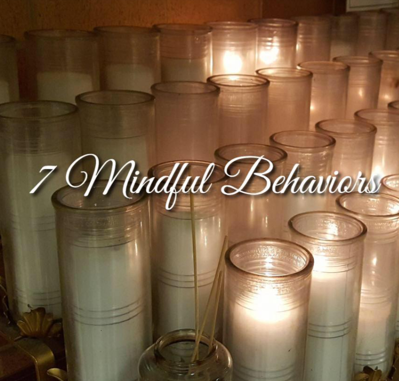 Mindful Behavior