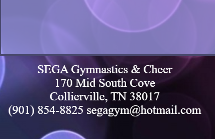 SEGA Gymnastics
