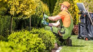 Alberts Contracting LLC