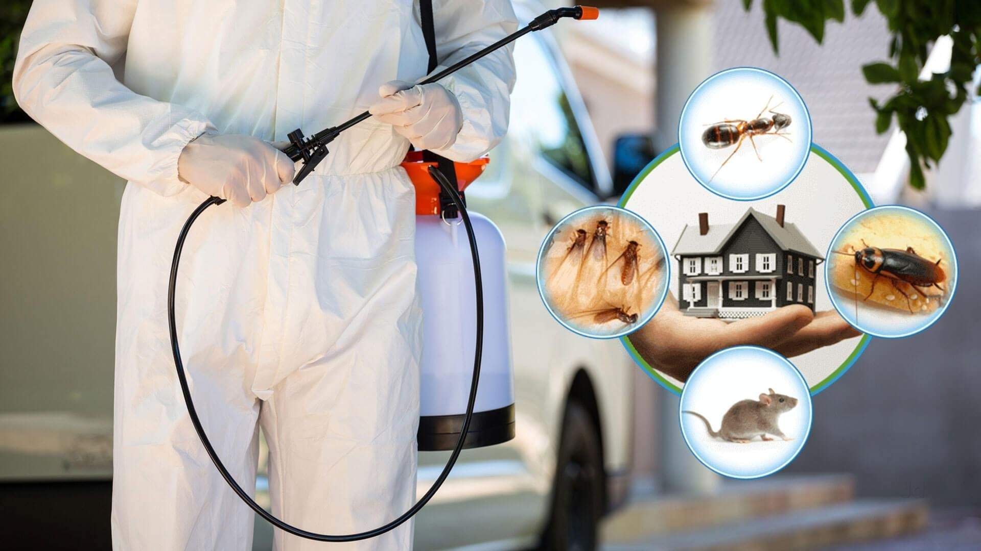 Mr. Pests Control Ottawa