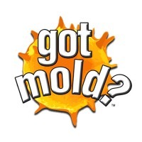 got mold? Saskatoon