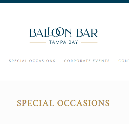 Balloon Bar Tampa Bay