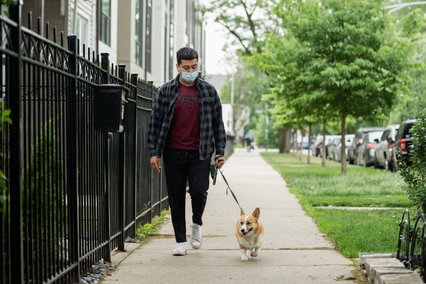 Boston Fetch