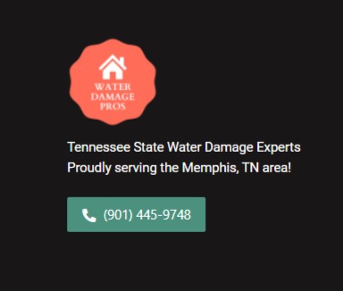 Tennessee State Water Damage Experts