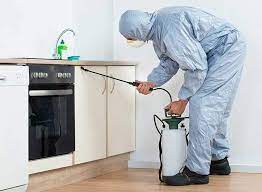 R.B. Pest Solutions
