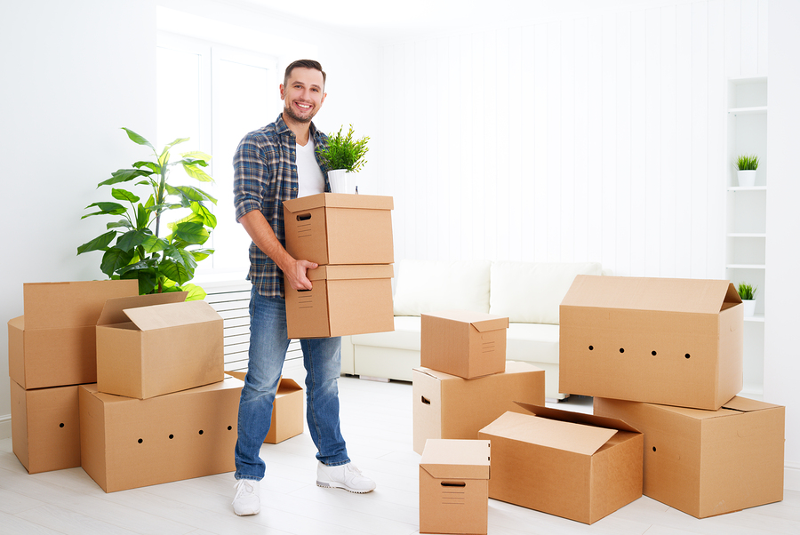 Art of Moving LLC