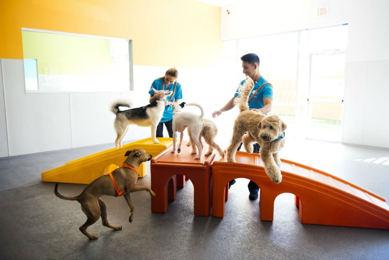 London Animal Care Centre