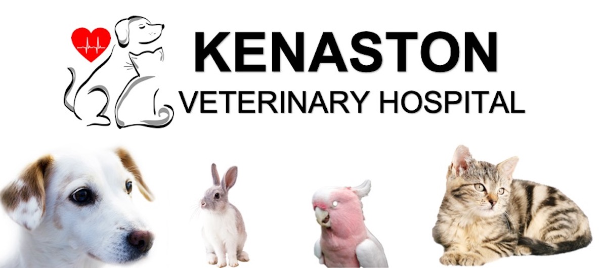 Kenaston Veterinary Hospital