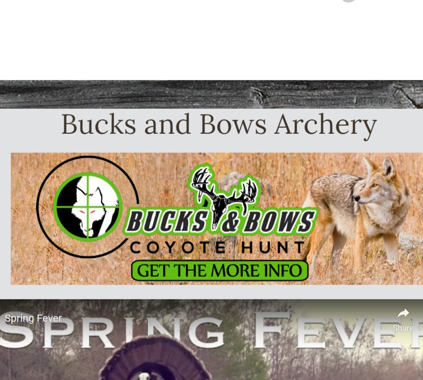 Bucks & Bows Archery
