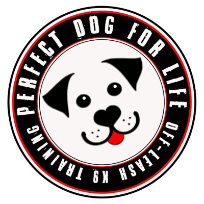 Perfect Dog For Life Off Leash K9 Training
