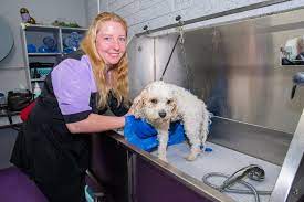 Fur Baby Royal Grooming & Boarding