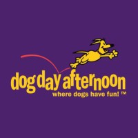 Dog Day Afternoon