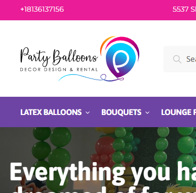 Party Balloons Entertainment INC