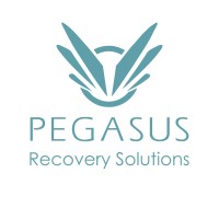 Pegasus Recovery Solutions Ltd