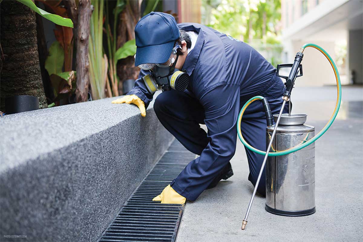 901 Pest Control