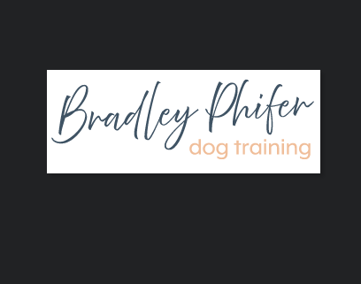 Bradley Phifer Dog Training
