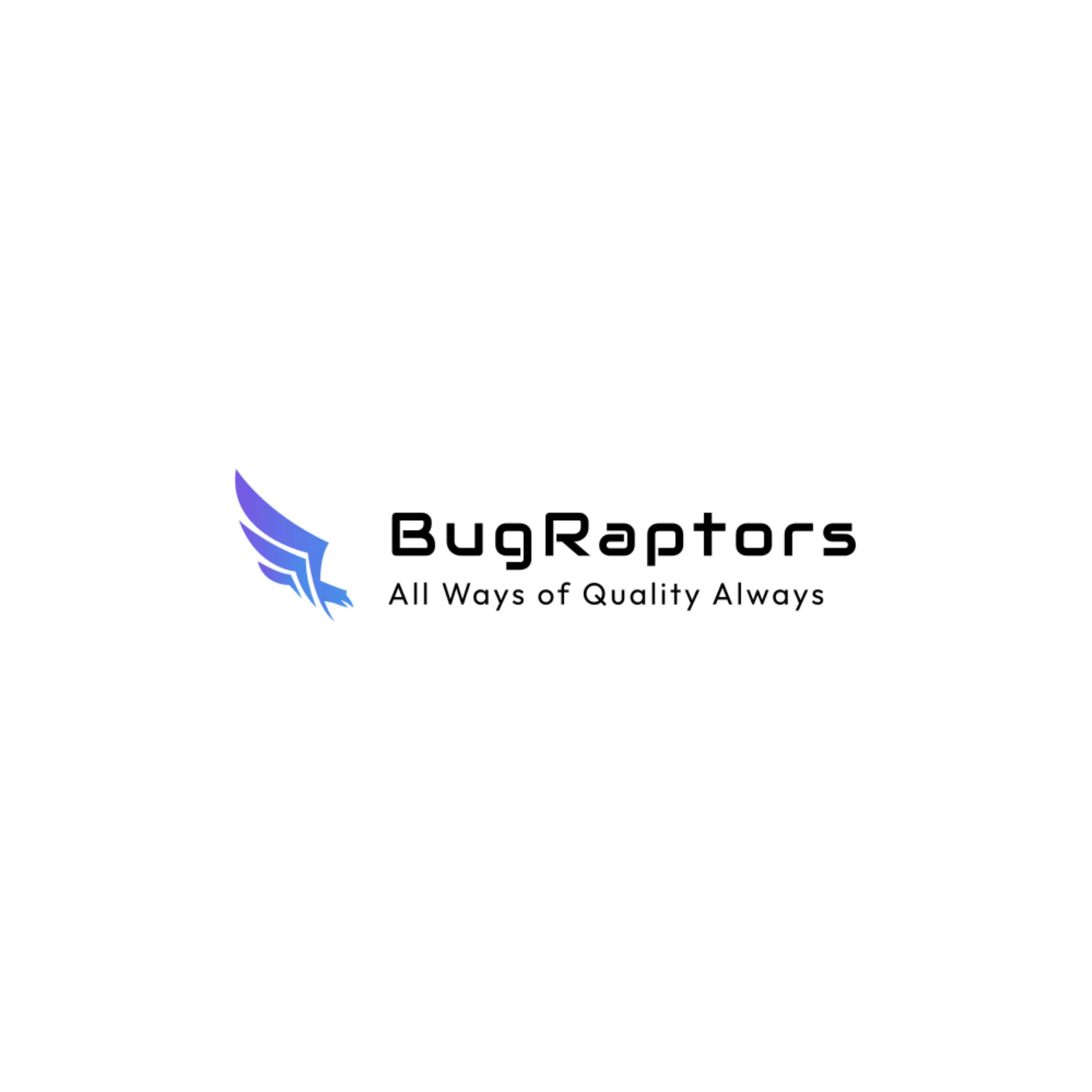 BugRaptors - Software Testing Company