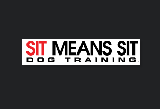 Sit Means Sit Dog Training Milwaukee