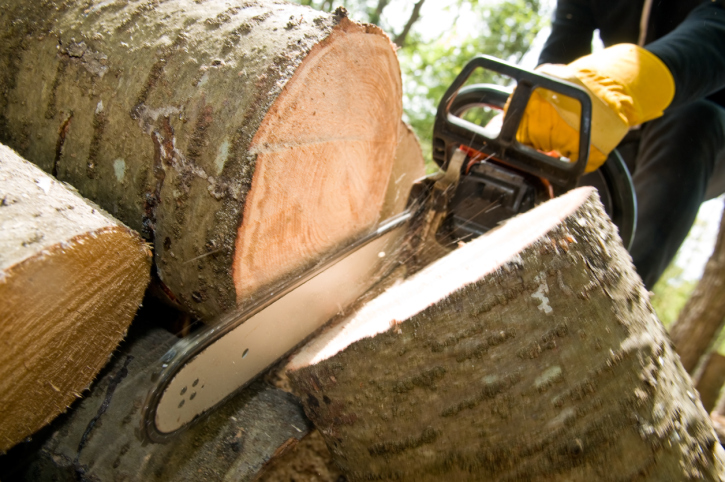 Sullivan Stump Removals