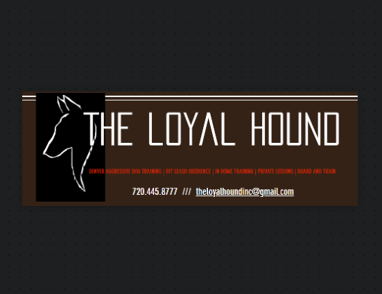 The hot sale loyal hound