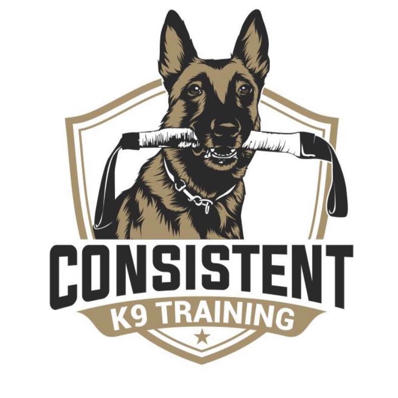 Consistent k9