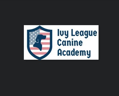 Ivy League Canine Academy