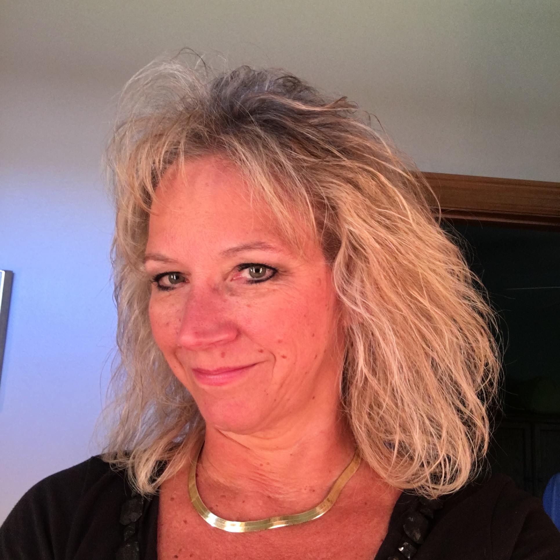 Pro SE Divorce Inc: Evans Trish