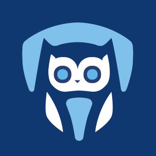 essayservice.com