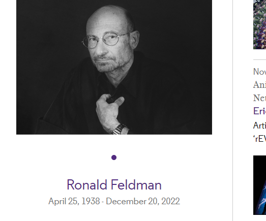 Ronald Feldman Gallery