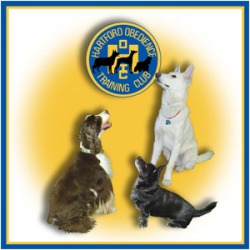 Hartford obedience training club
