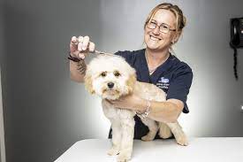 Metro Animals Pet Wash