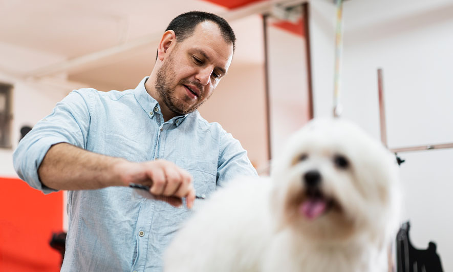 H&D Pet Grooming