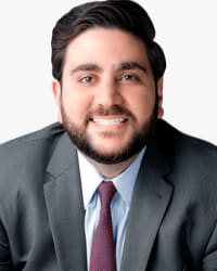 Malescu Law, PA - Business & Immigration Lawyers